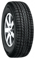    BFGoodrich Winter Slalom KSI     -