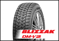 !   () Bridgestone Blizzak DM-V2. , .